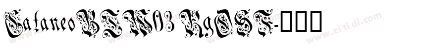 CataneoBTW03 RgOSF字体转换
